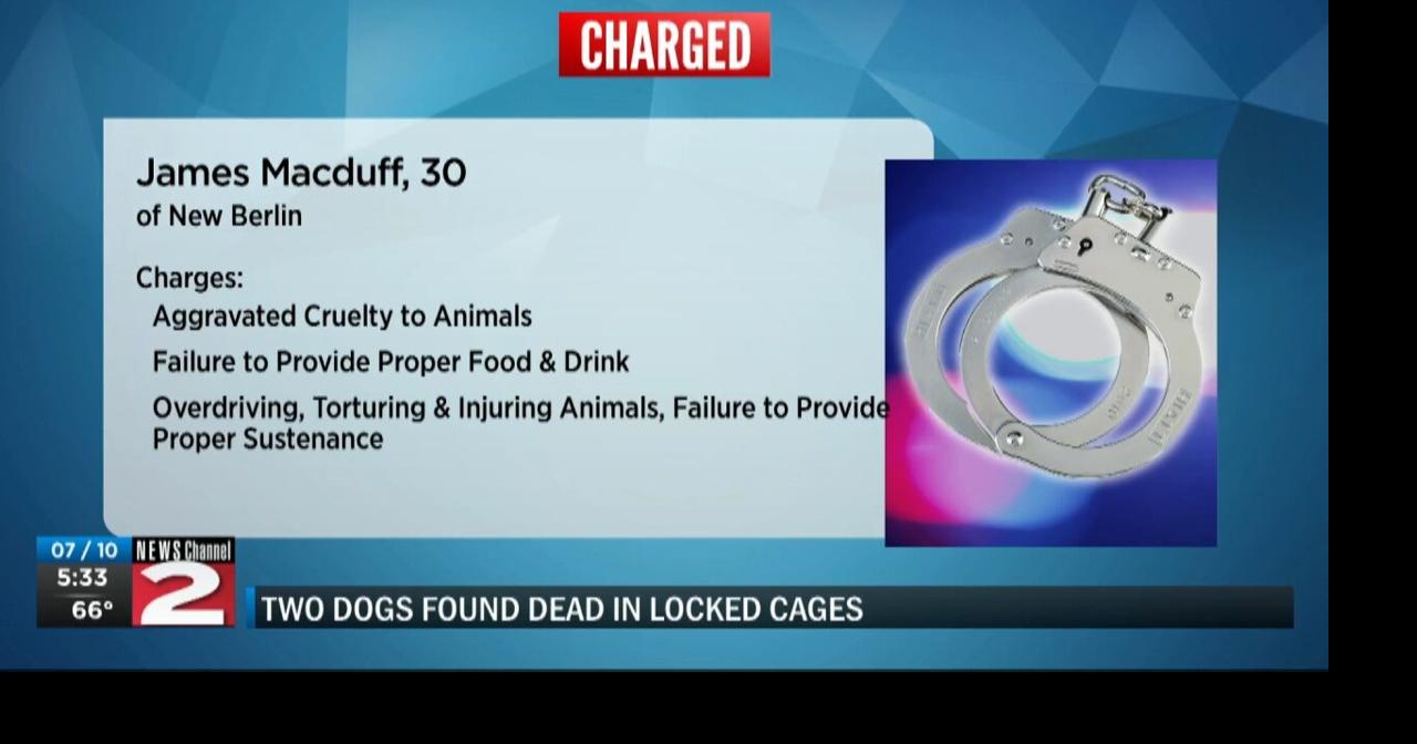 Animal Cruelty Charges After Arrest of New Berlin Man | News | wktv.com