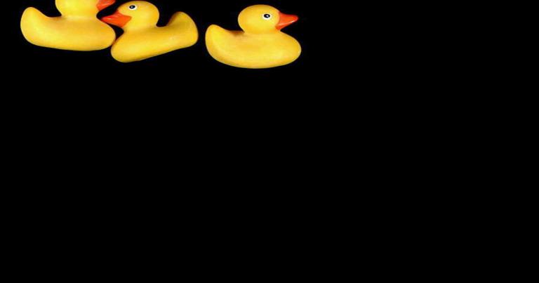 3,000 Rubber Ducks Ready to Set Sail in Old Forge - Vimarsana News