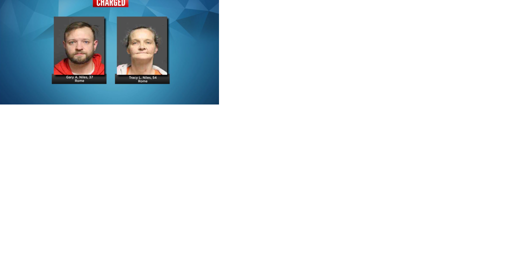 2 facing charges following domestic dispute in Rome - Vimarsana News
