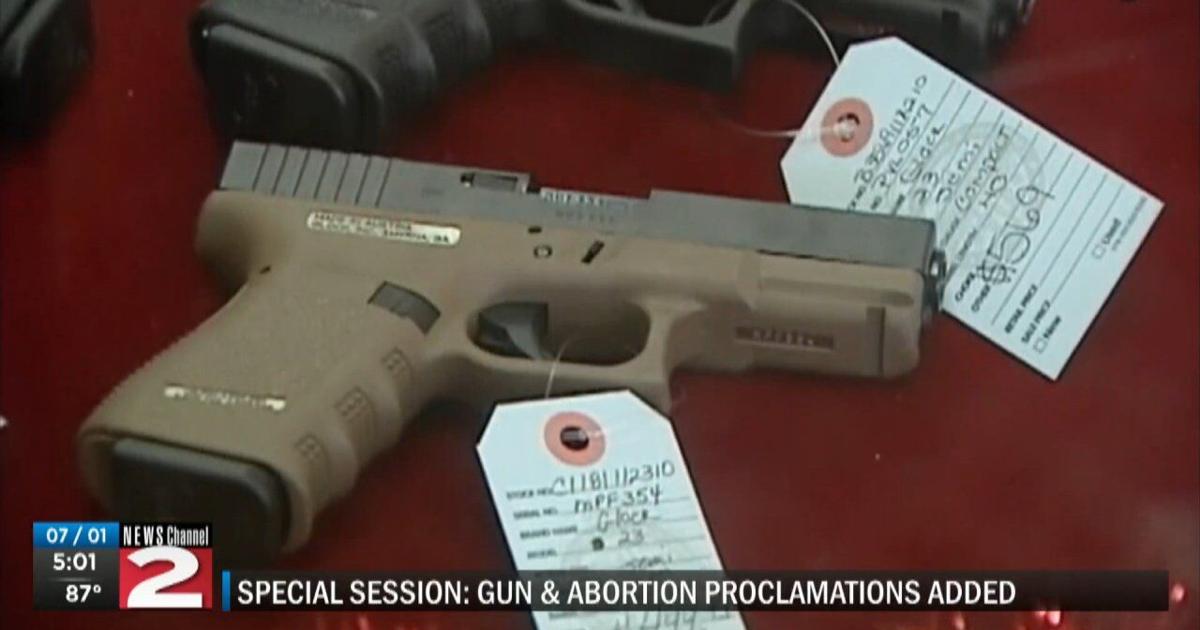 New York State Senate, Assembly pass new gun rules in response to ...