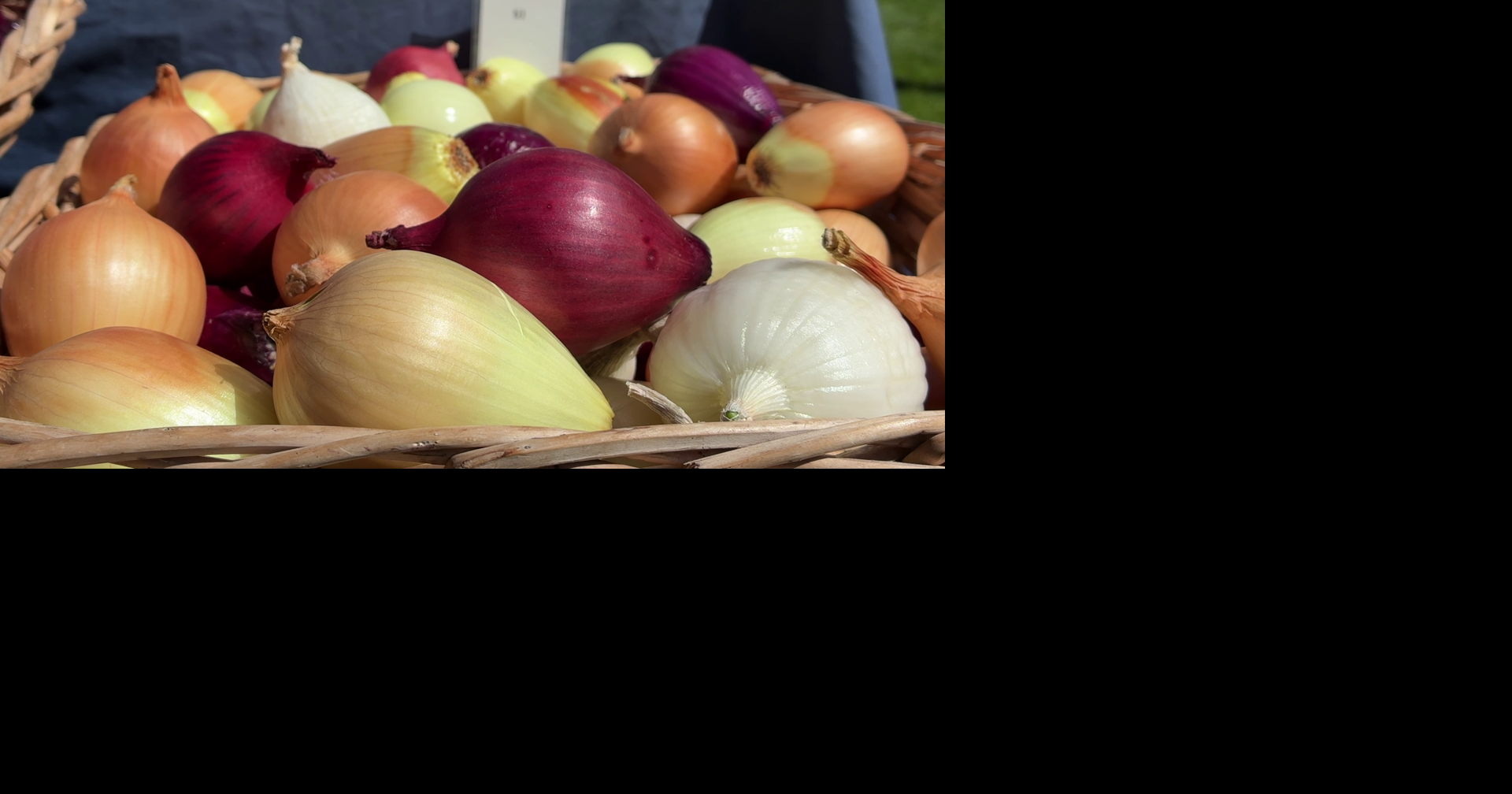 Clinton Farmers' Market Opens for 29th Season