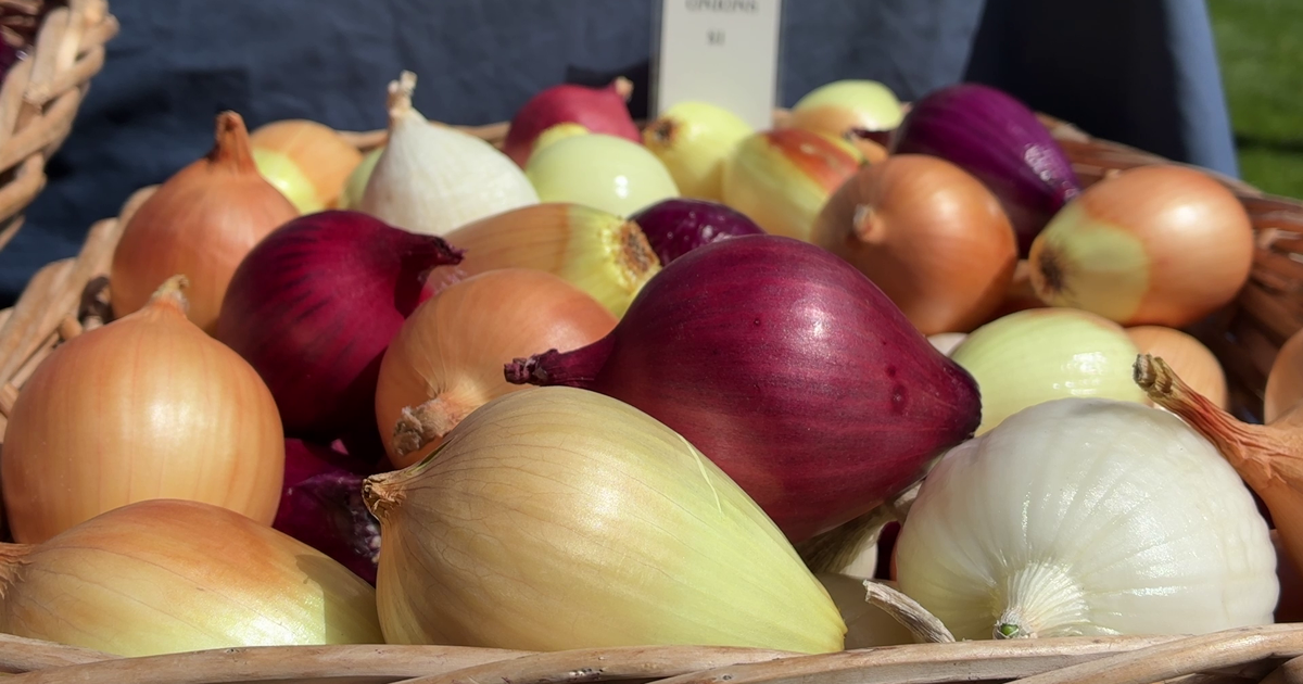 Clinton Farmers' Market Opens for 29th Season
