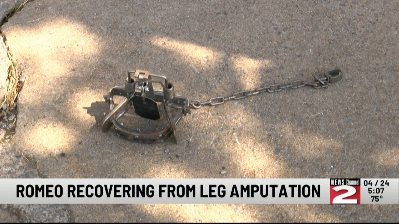 Escort torino 19 anni