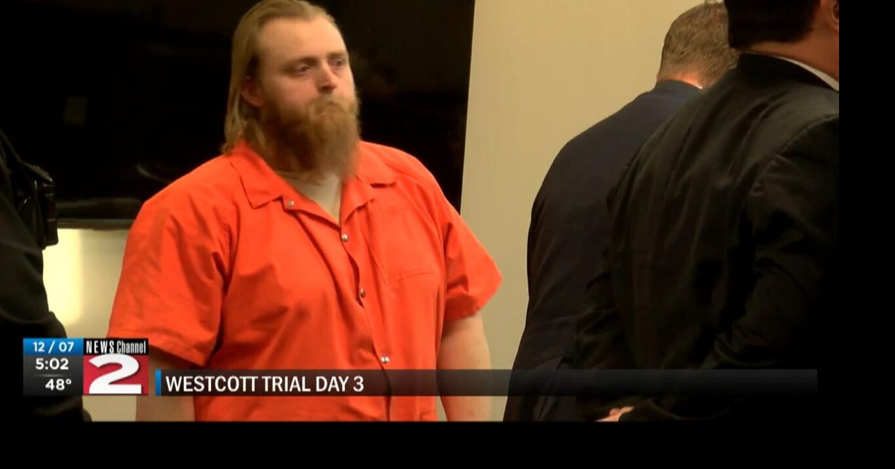 Potentially pivotal testimony in Matthew Westcott murder trial | Crime ...