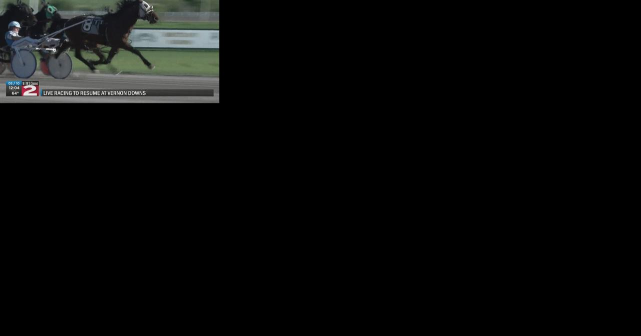 Live racing to resume at Vernon Downs this weekend following 2 equine deaths - Vimarsana News