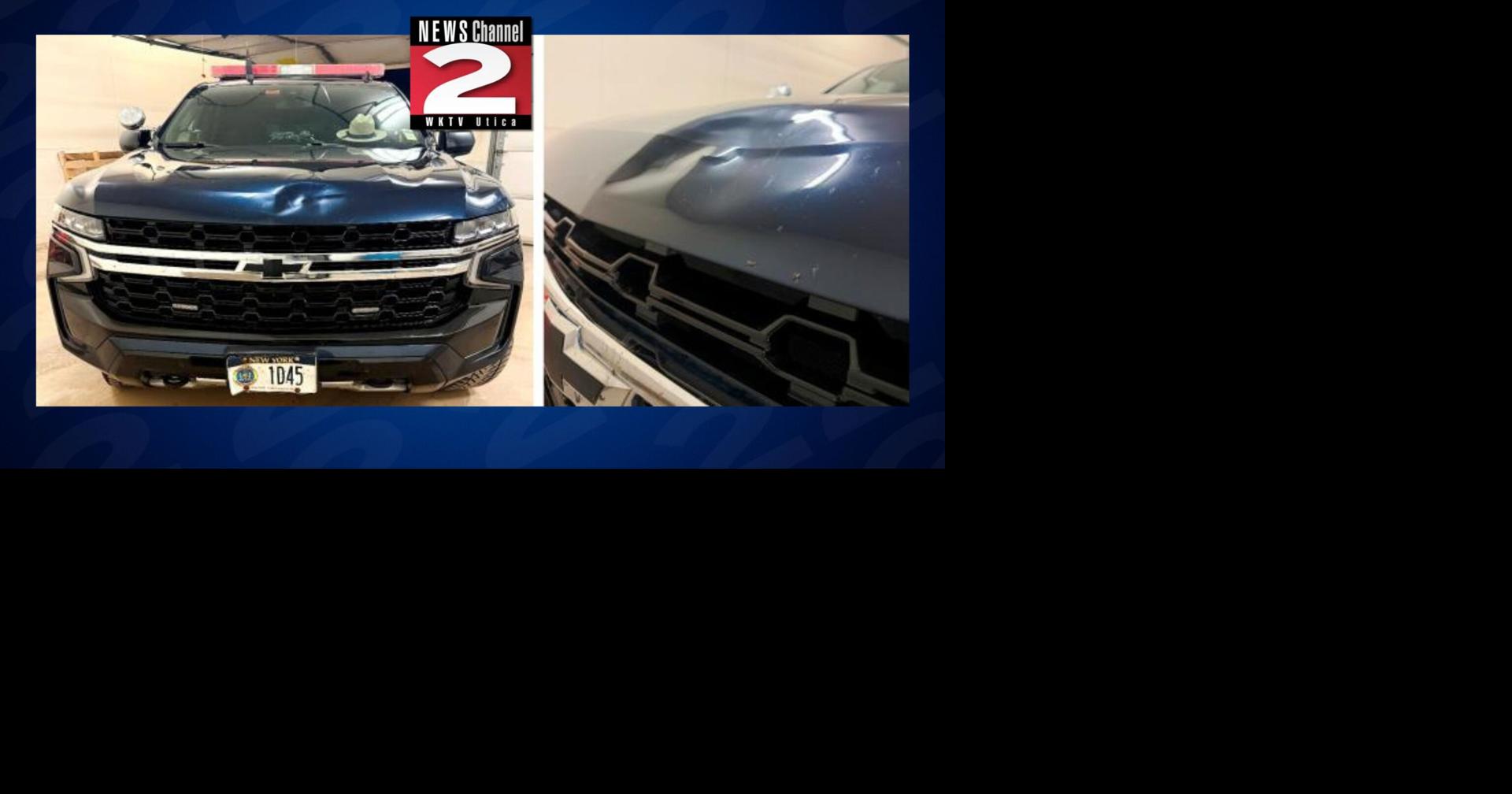 Rome Teen Flees Police After Passenger Damages Patrol Car | Crime ...