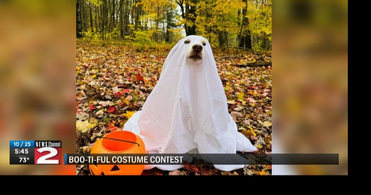 A Local Look at Halloween: Costume Contest Voting Underway; Pumpkin ...