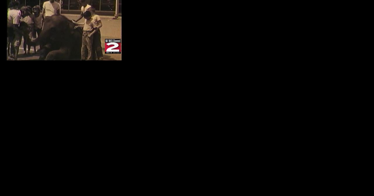 WKTV History Highlight: 1960s Archival Footage of Elephant at New Hartford Shopping Center - Vimarsana News