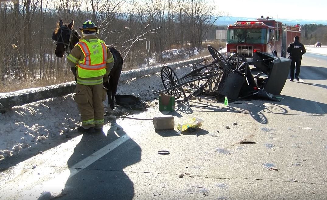 Horse injured in Amish buggy crash; other driver flees scene Horse injured in Amish buggy crash; other driver flees scene