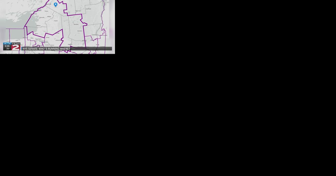 NYS Senate race: Who's running where? - Vimarsana News