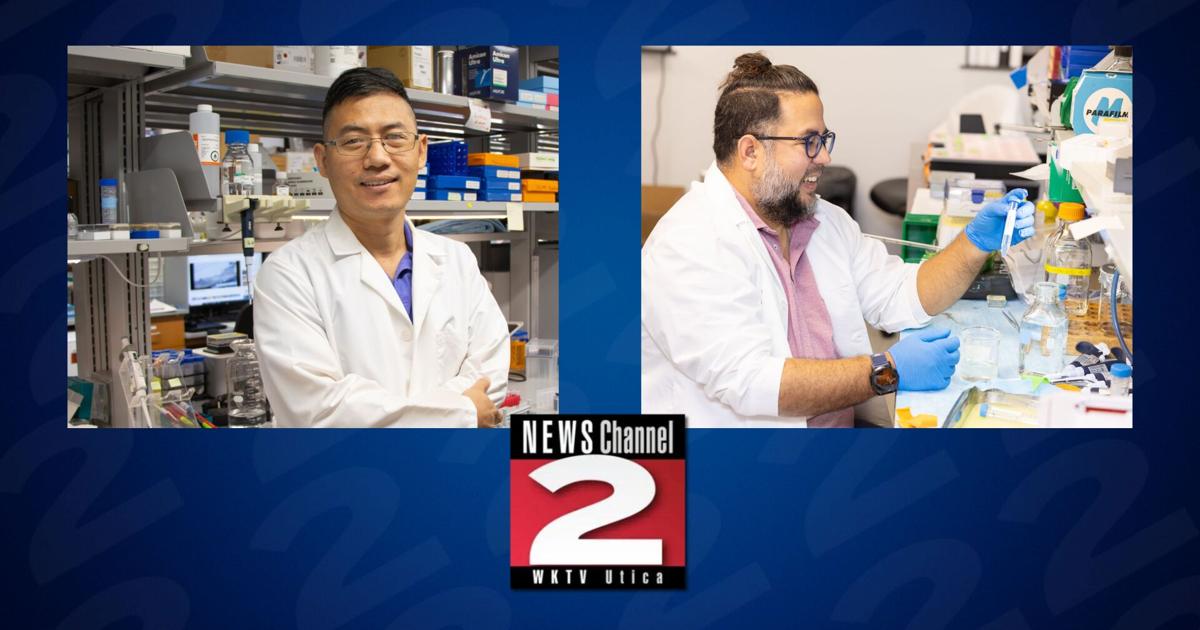 Utica Research Institute Looks Into Fatty Liver Disease and Heart Failure