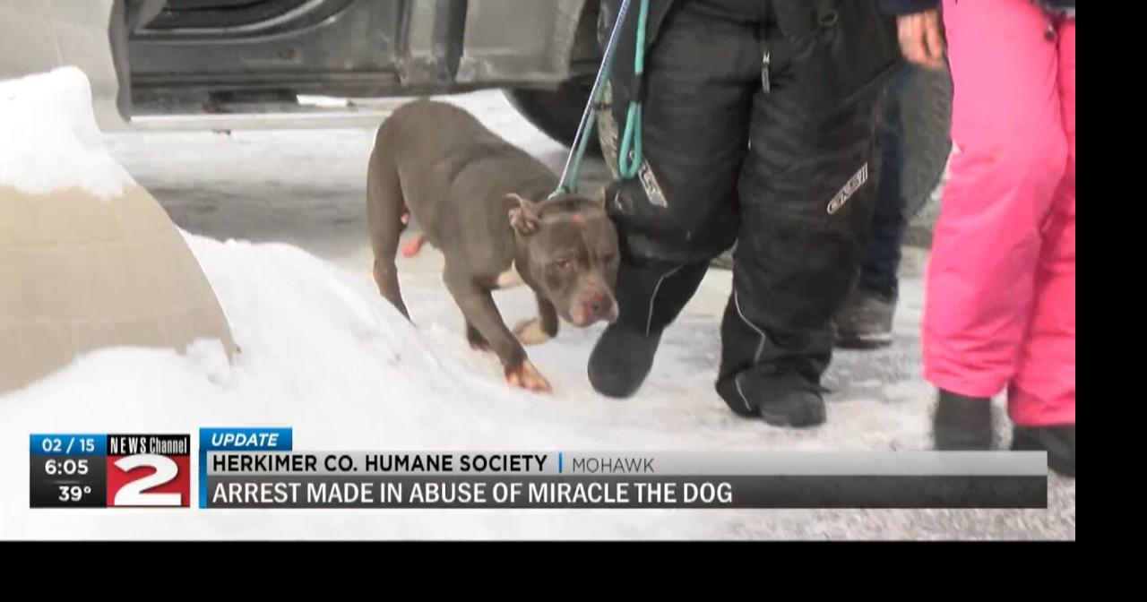 Arrest made in case of abandoned dog in Herkimer County Video
