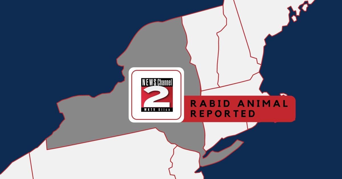 New Hartford Bat Tests Positive for Rabies: 1 Person and 1 Pet Exposed | Health New Hartford Bat Tests Positive for Rabies: 1 Person and 1 Pet Exposed | Health