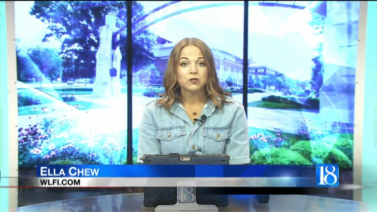 Inspiring Animals: Tips for First Time Pet Owners