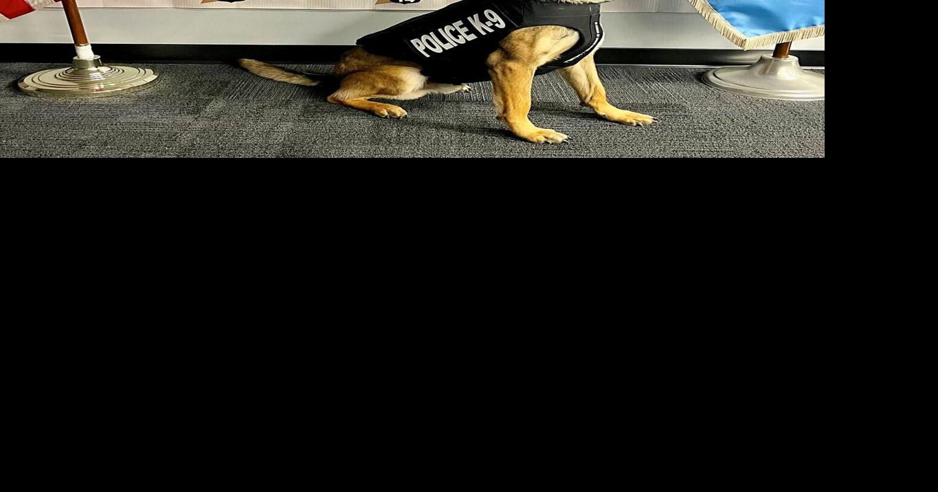 Indiana State Police K9 receives protective vest.