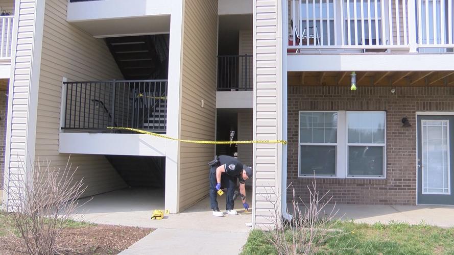 Police name Overlook Pointe stabbing suspect News