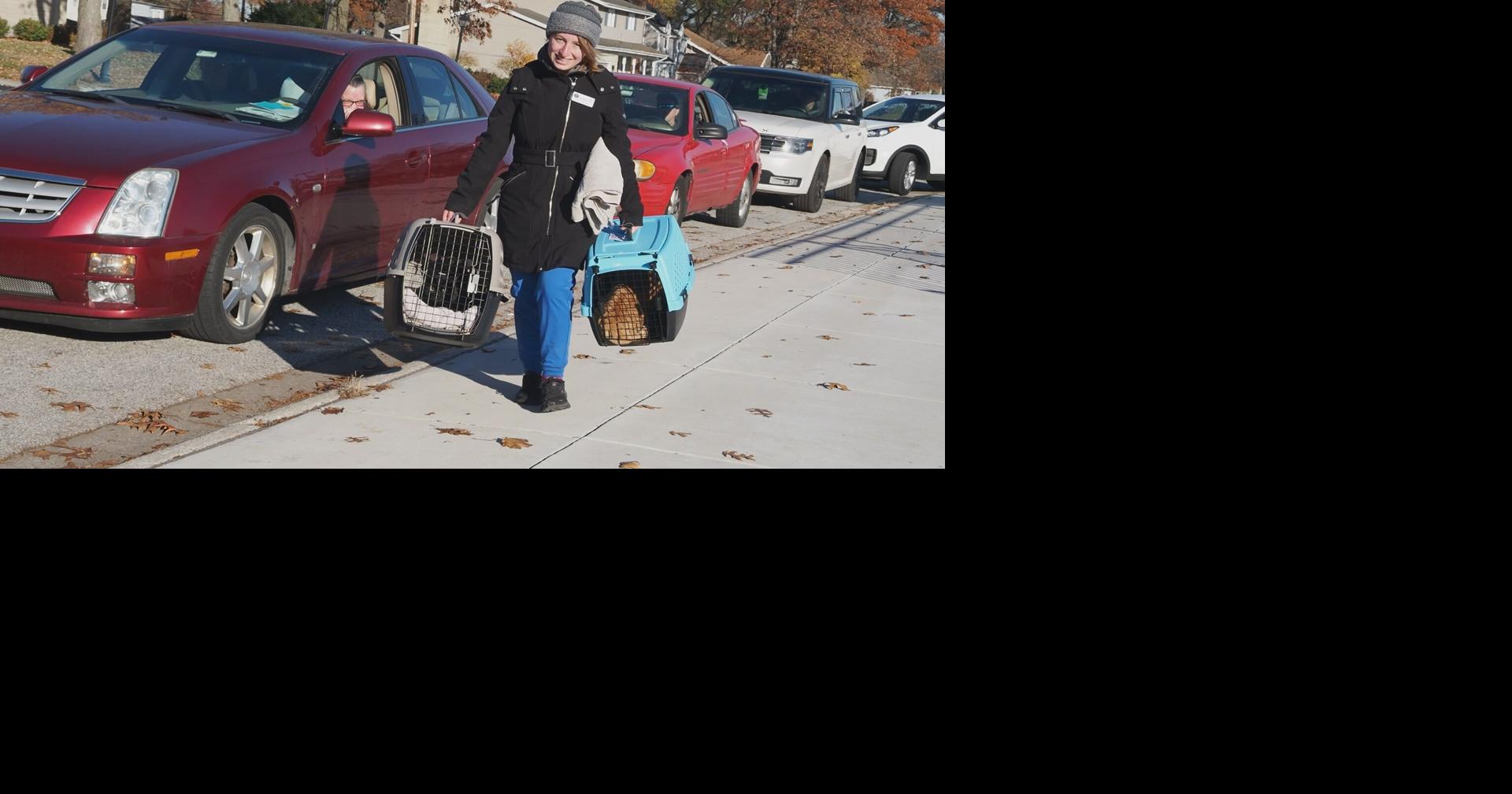 "The more we fix, the more we can save"; Low-cost cat spay and neuter clinic coming to Logansport