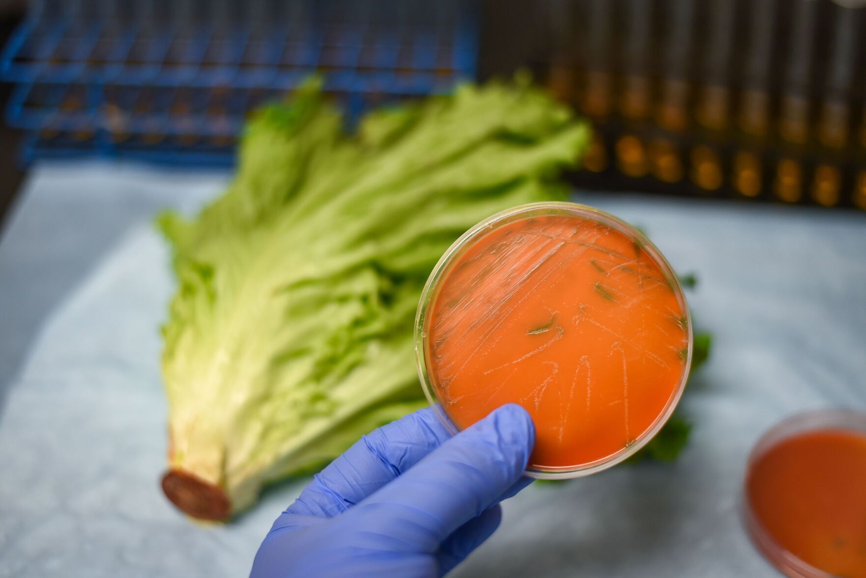 Listeria Outbreak: What To Know And How To Protect Yourself | News ...