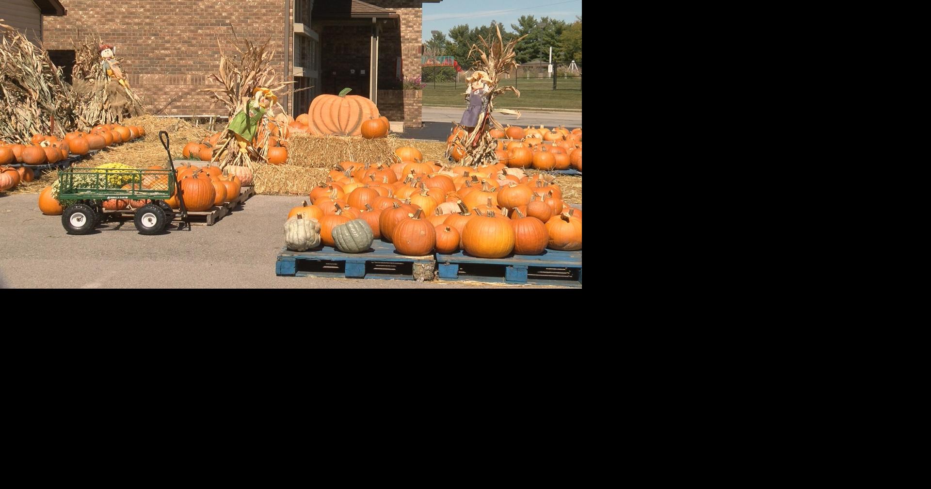 The Great Pumpkin Patch back in Lafayette Community