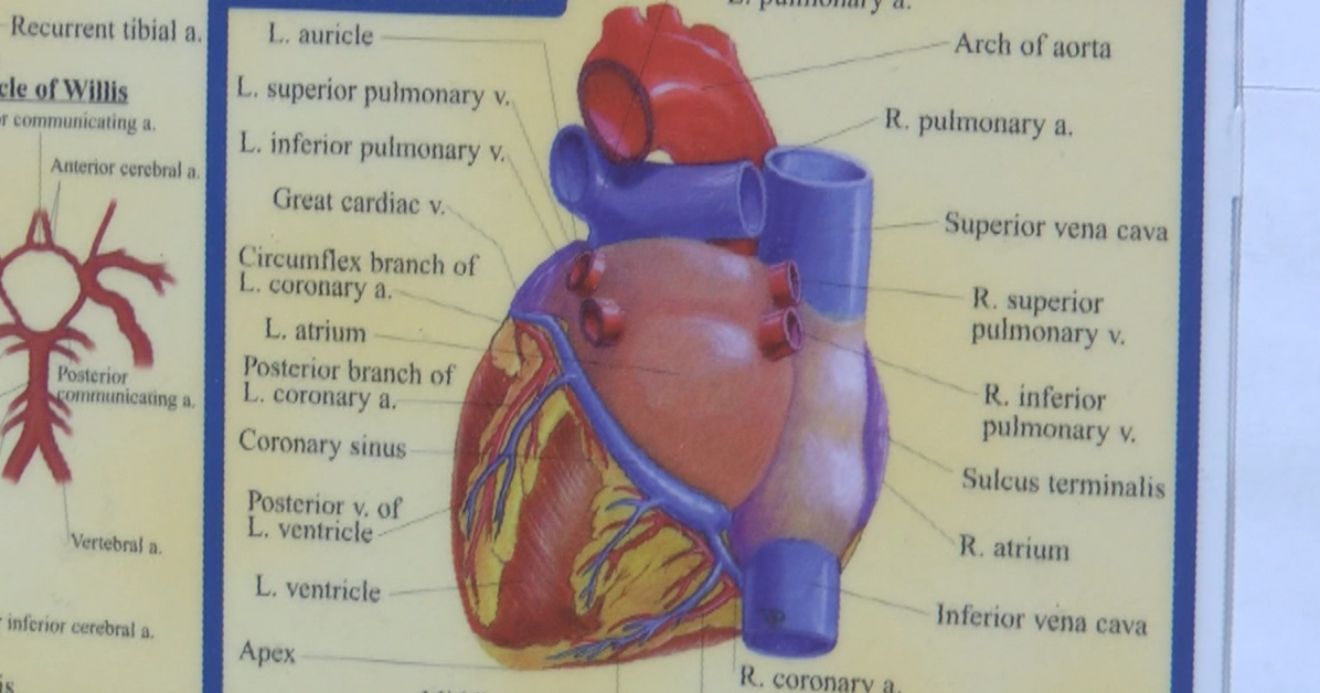 Heart disease is the leading cause of death for women in the U.S., doctors say take care of your heart before it's too late