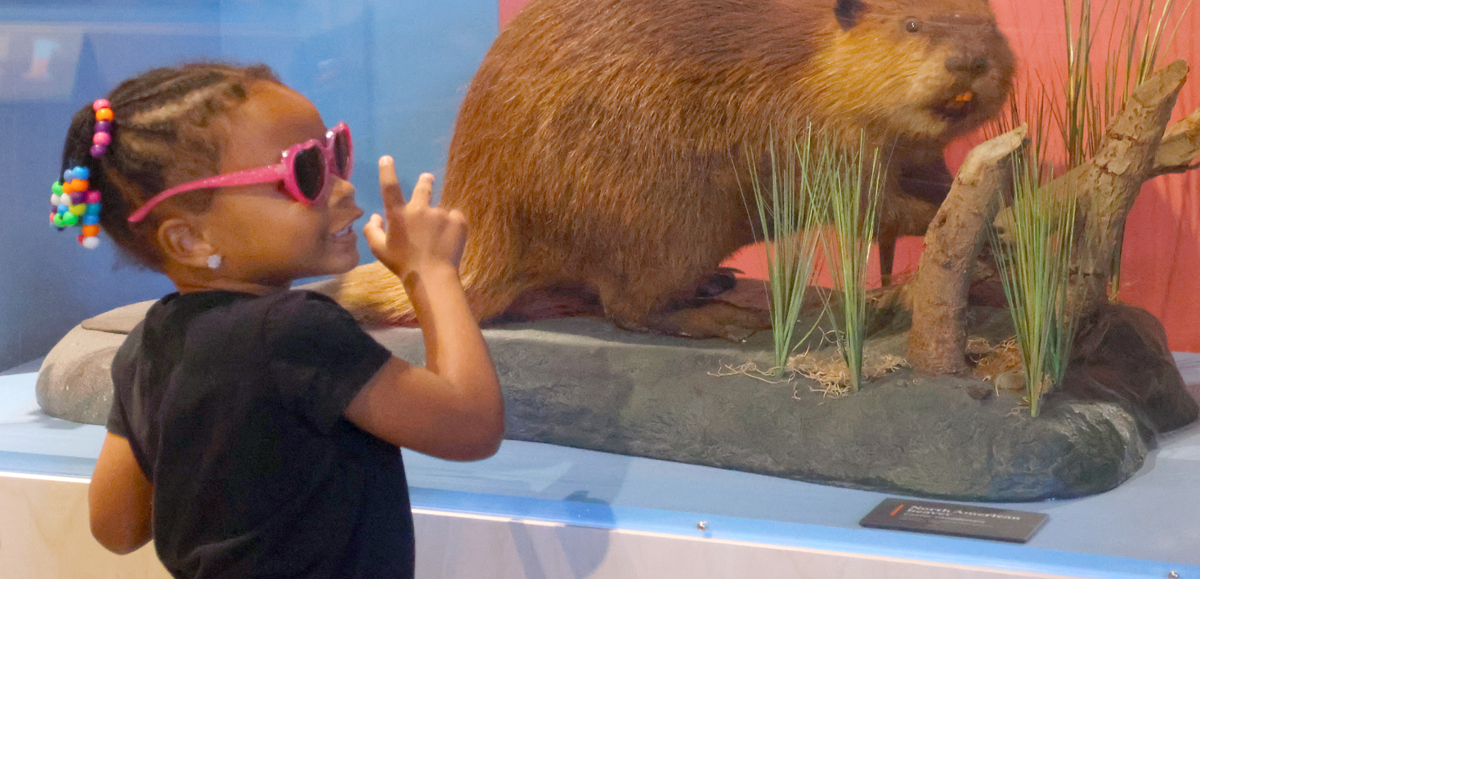 Indiana State Museum offering family-friendly activities for Spring Break