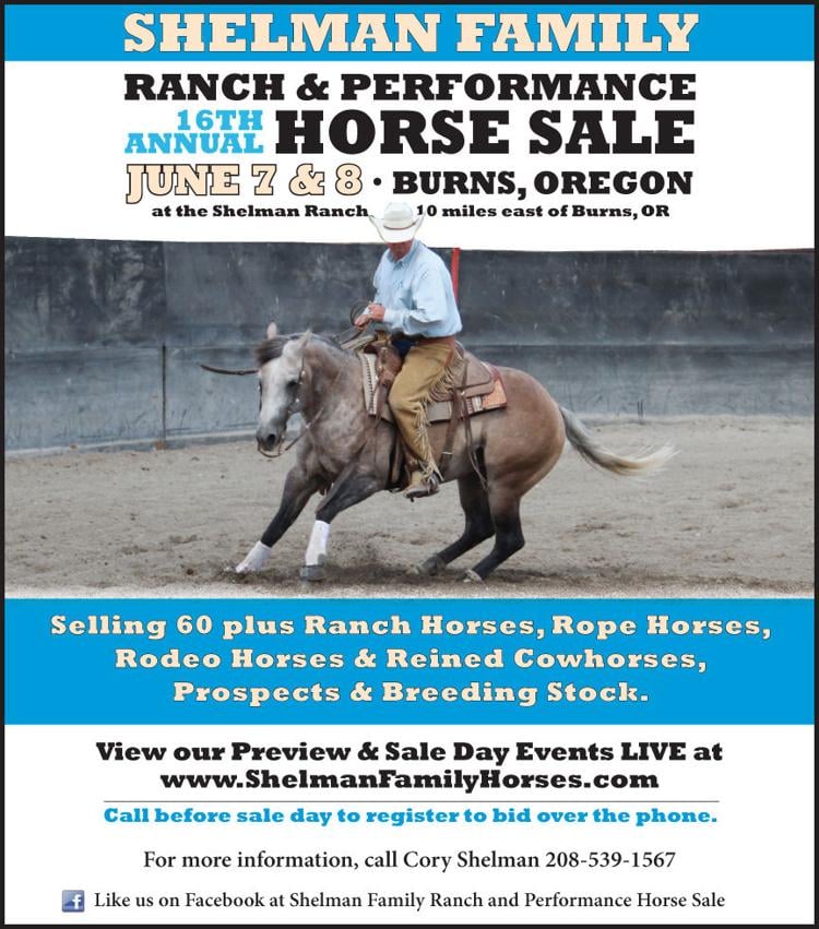 16th Annual Shelman Family Ranch Performance Horse Sale Sale Calendar