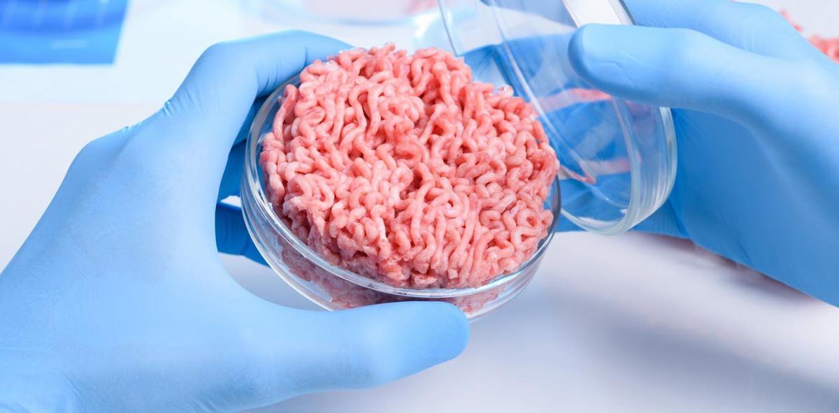 Japanese researcher pushes the boundaries of lab-grown 'real' meat