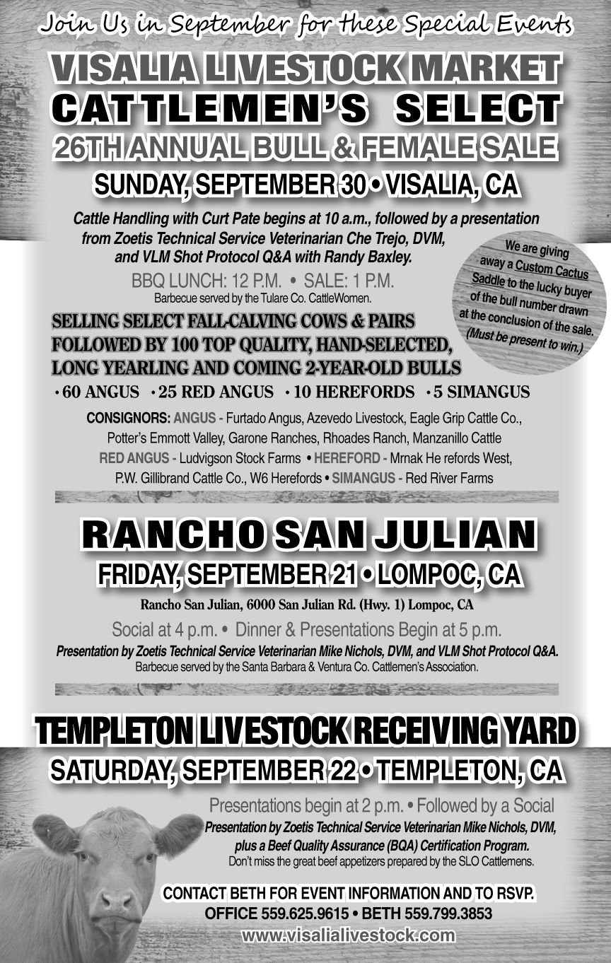 Visalia Livestock Market Cattlemen's Select Bull & Female Sale | Sale ...