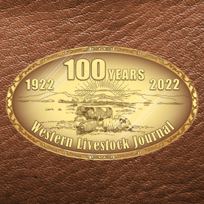 100 Year Buckle w/ leather background