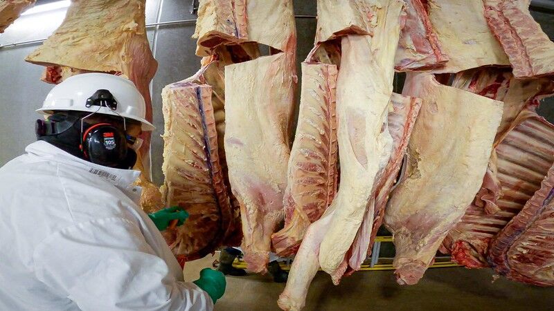 Real MEAT Act reintroduced by senator