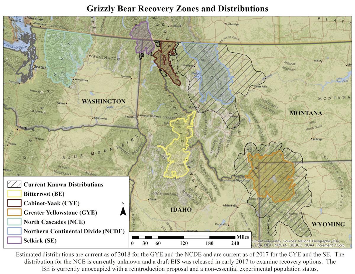 Feds identify preferred plan to reintroduce grizzly bears in North Cascades