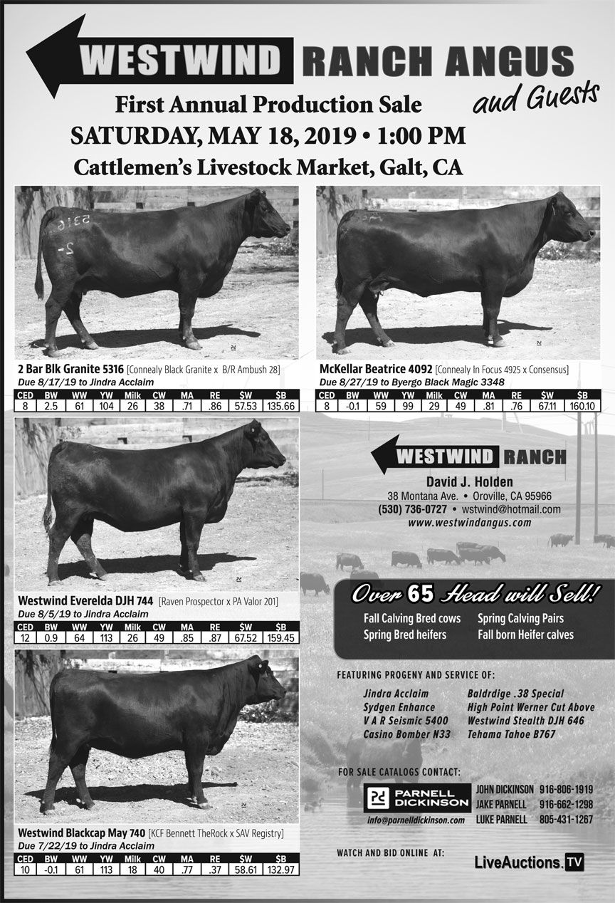 Westwind Angus Ranch First Annual Production Sale Sale Calendar