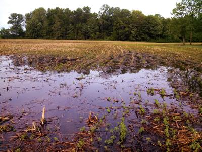 WOTUS rule could get two-year delay