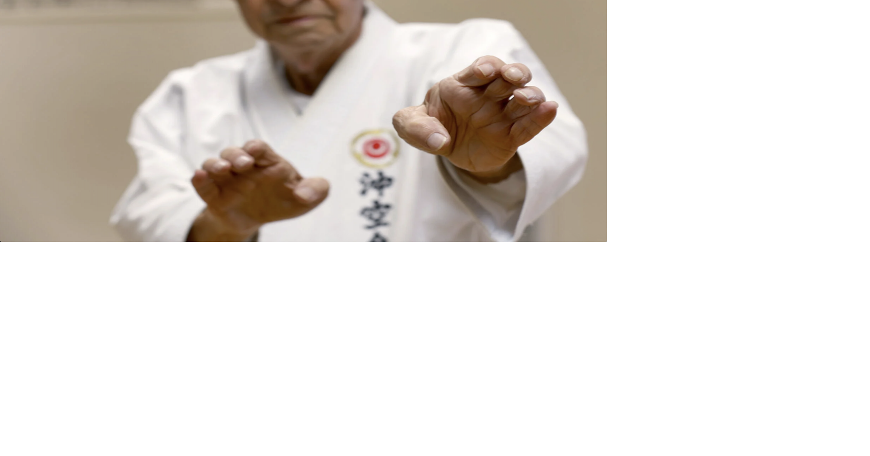 North Attleboro karate instructor receives prestigious honor in Japan