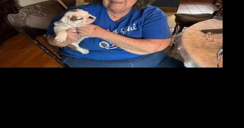 Bus trip to the ballet and visit with puppies highlights week - Vimarsana News