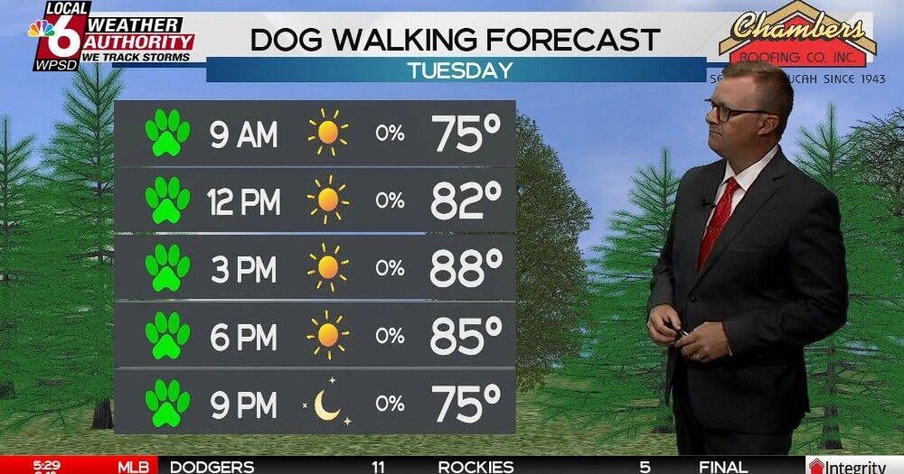 Dog Walking Forecast 8.18.26 | Weather Dog Walking Forecast 8.18.26 | Weather