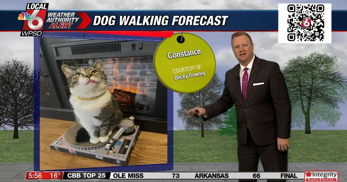 Dog walking forecast 1.9.25 | Weather Dog walking forecast 1.9.25 | Weather