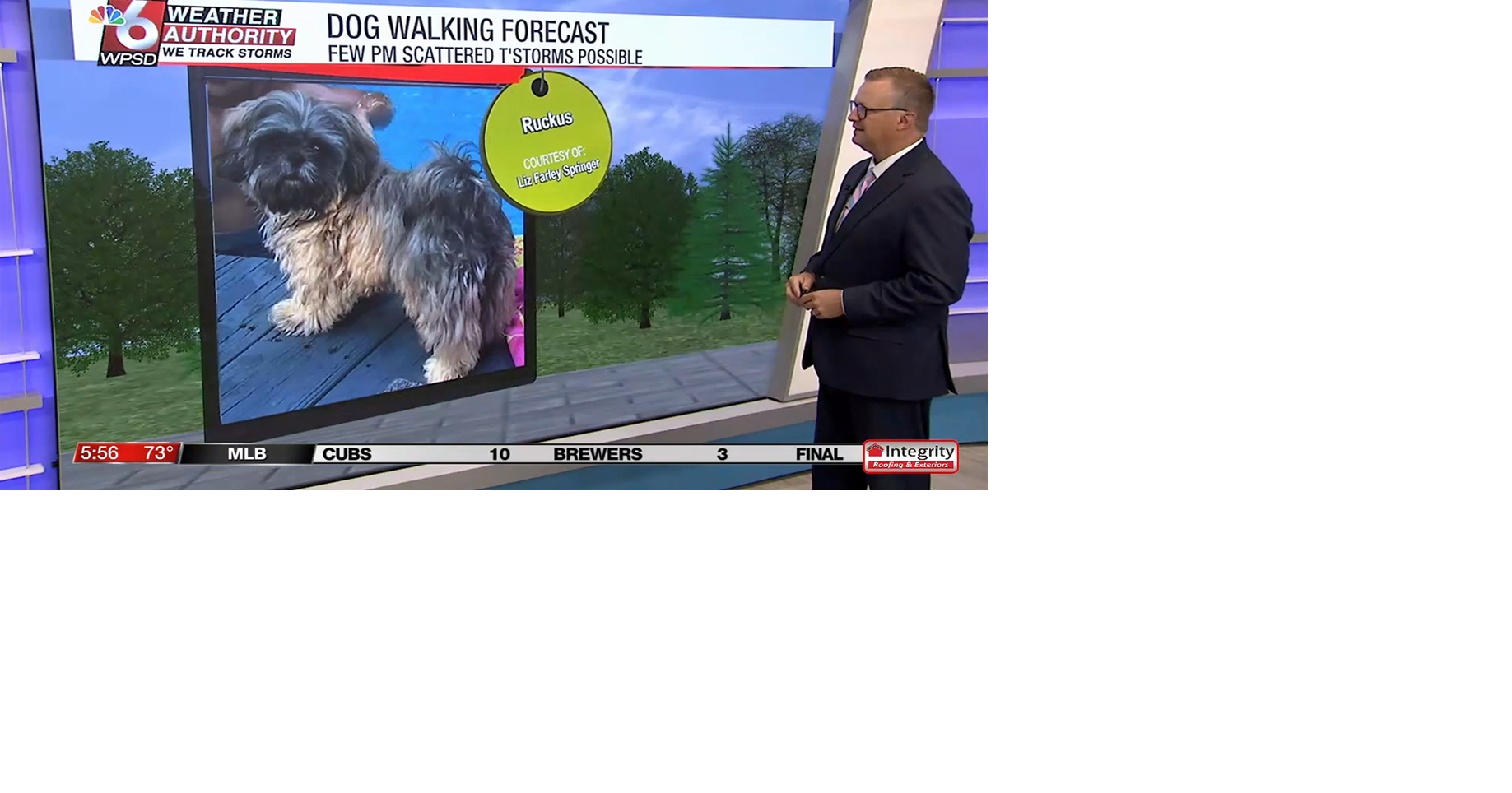 Dog walking forecast 7.31.25 | Weather