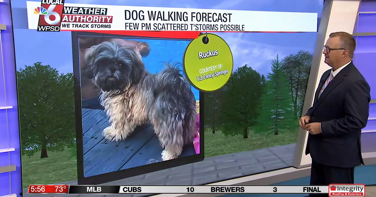 Dog walking forecast 7.31.25 | Weather Dog walking forecast 7.31.25 | Weather