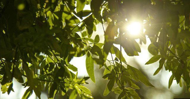Illinois Department of Natural Resources invites visitors to ring in the new year with a hike