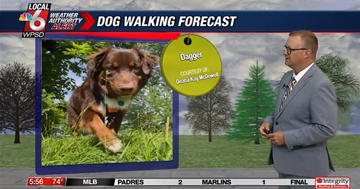 Dog walking forecast 7.22.25 | Weather Dog walking forecast 7.22.25 | Weather