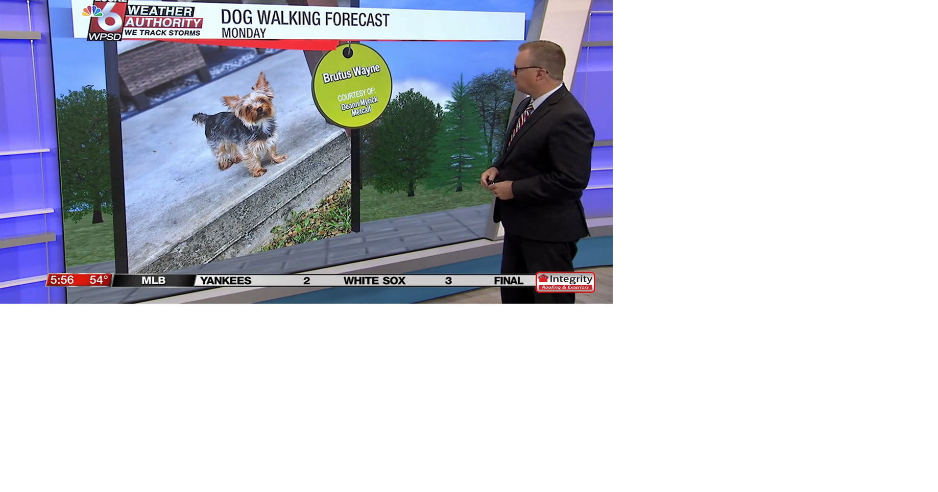 Dog walking forecast 9.1.25