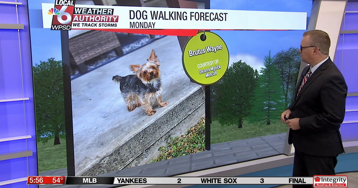 Dog walking forecast 9.1.25 Dog walking forecast 9.1.25