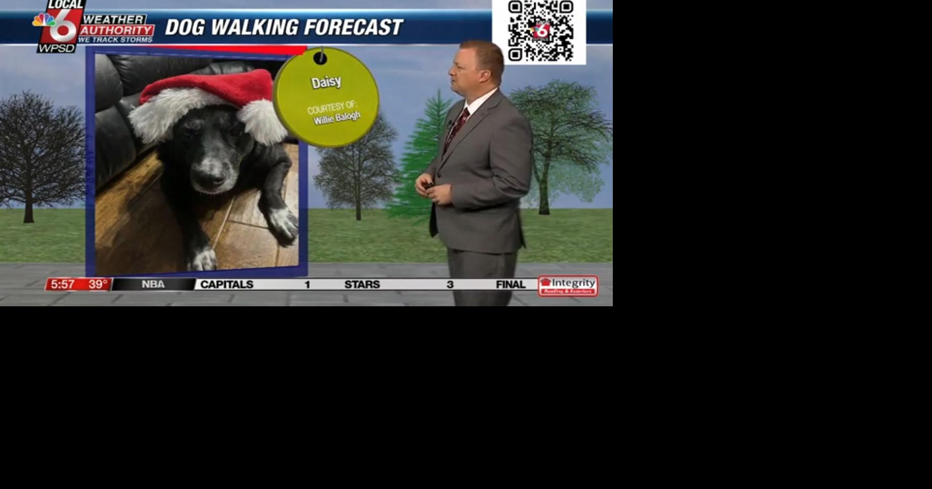Dog walking forecast 12.16.24