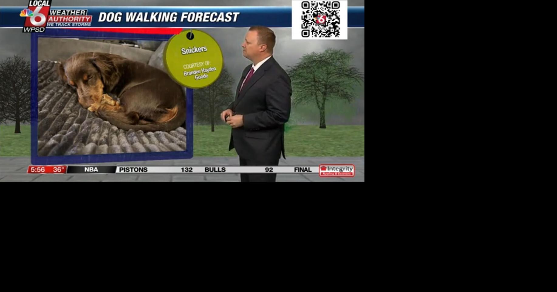 Dog walking forecast 2.12.25