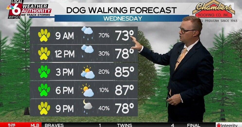 Dog Walking Forecast 8.19.26 | Weather