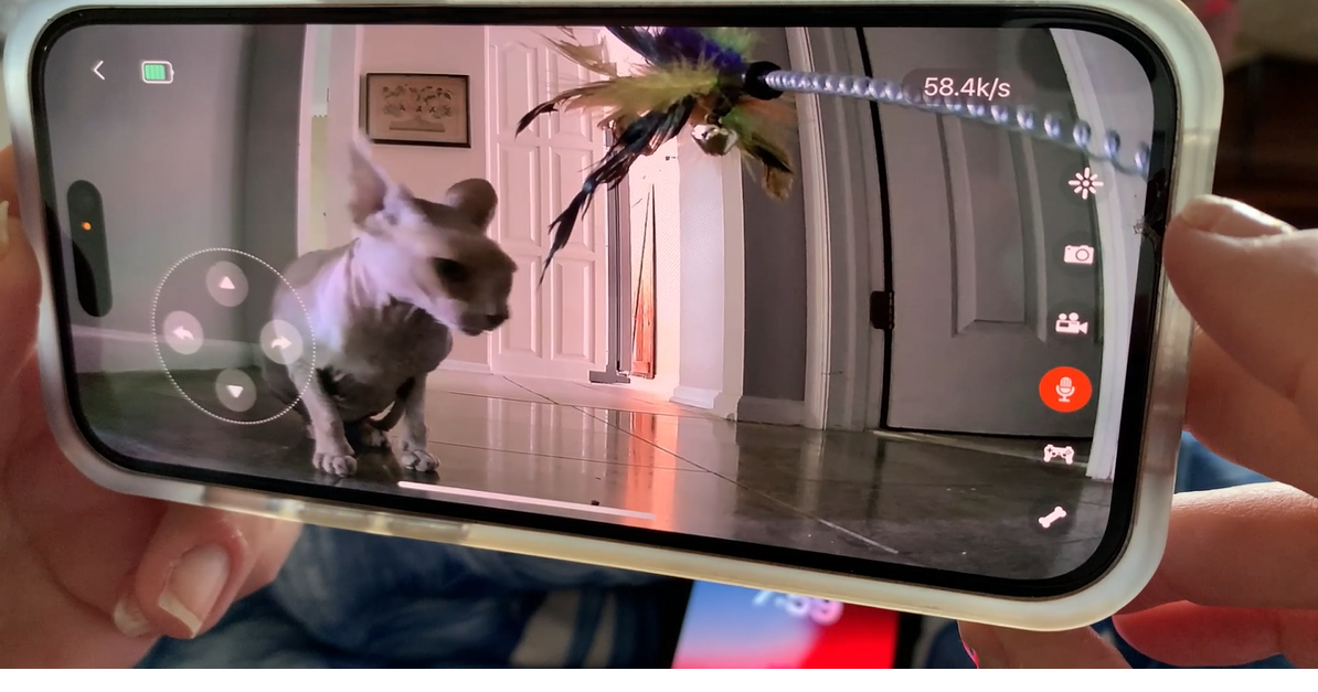 Pet Tech: Gadgets that make caring for pets easier | News