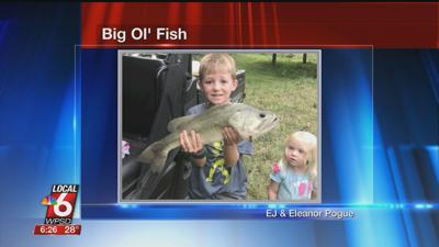 11/11 Big Ol' Fish