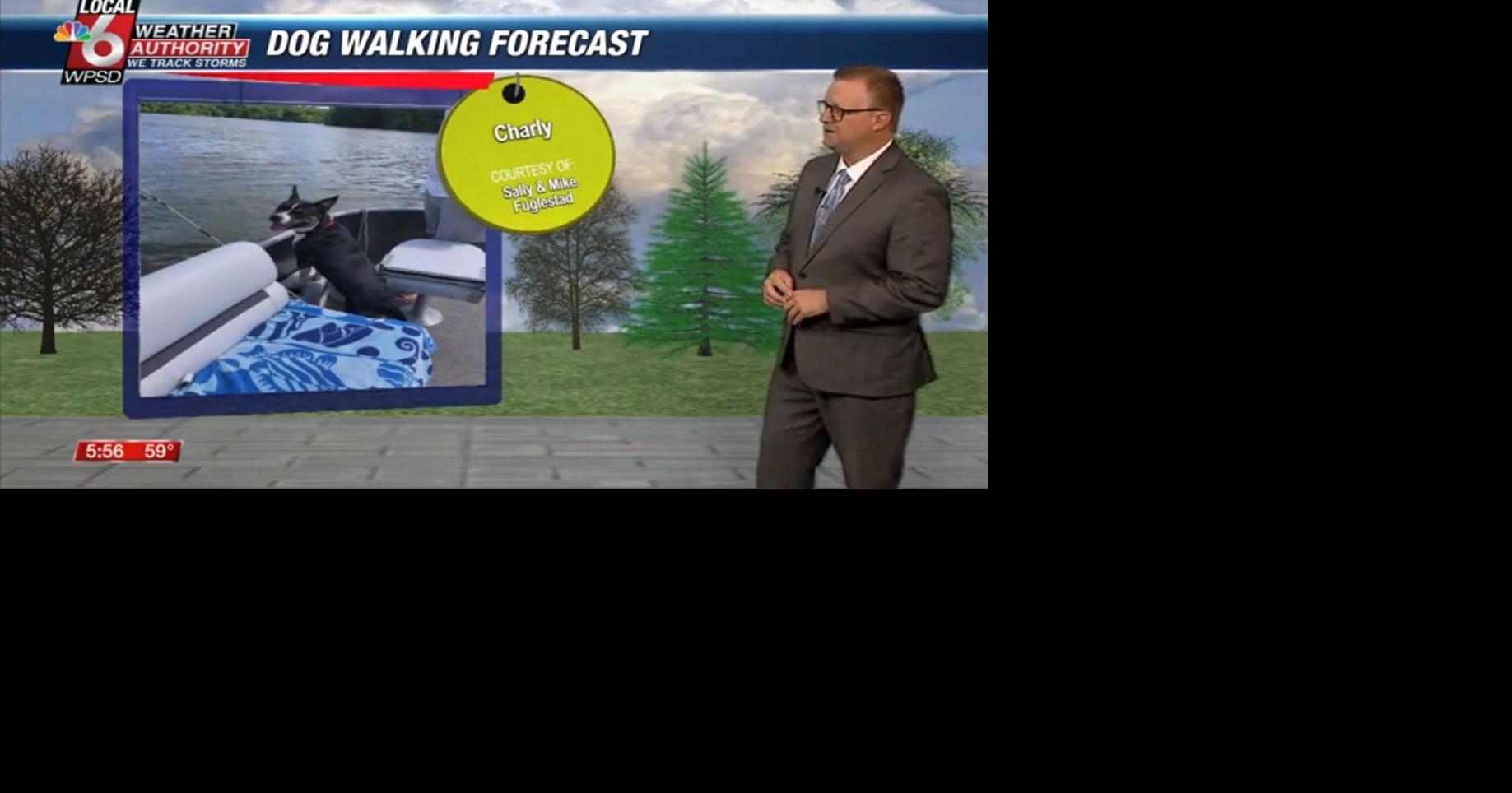 Dog walking forecast 5.13.25