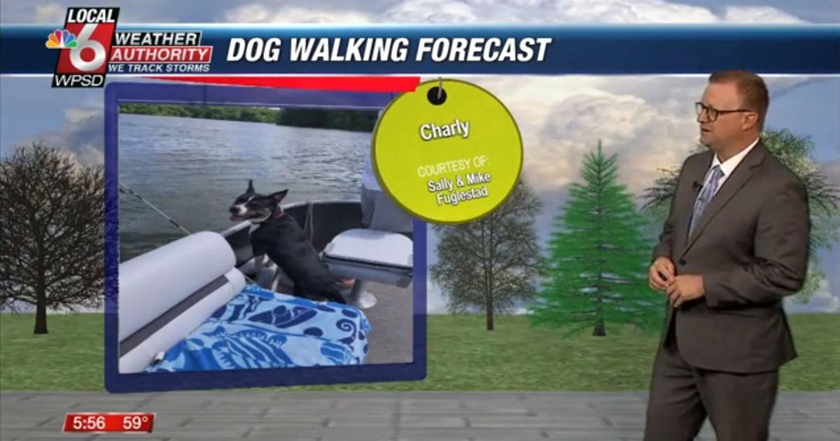 Dog walking forecast 5.13.25 Dog walking forecast 5.13.25